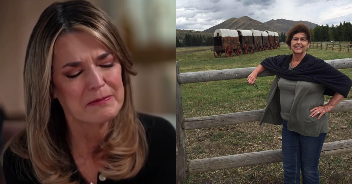 Expert condemns investigators’ decision to limit cadaver dogs.