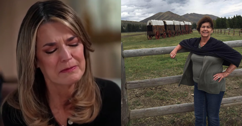 Expert condemns investigators’ decision to limit cadaver dogs.