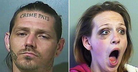 absurd mugshots fpd