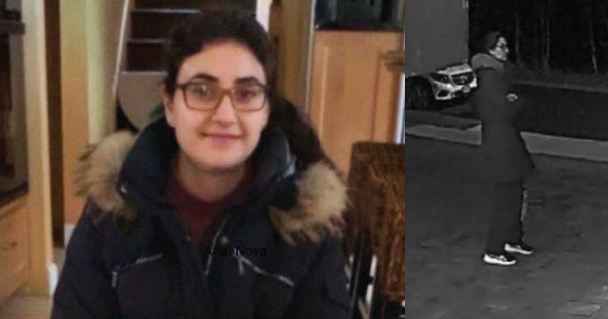 Search efforts underway in Oyster Bay for Brittany Kritis, who vanished after reportedly fleeing a moving car.