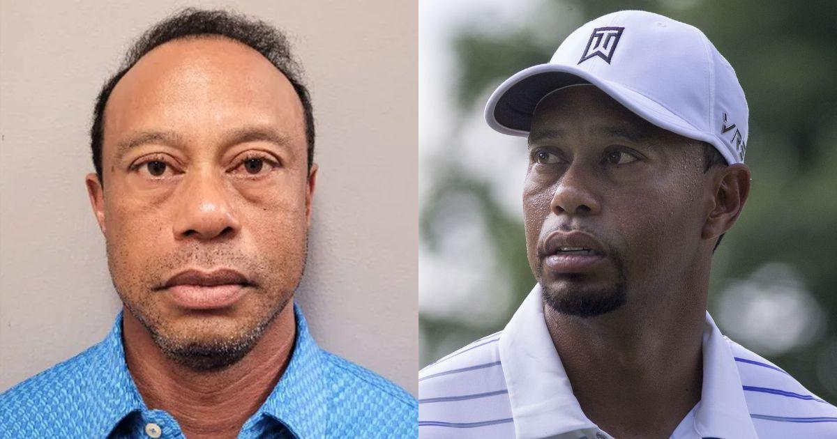 Tiger Woods' mugshot