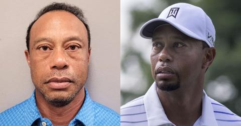 Tiger Woods' mugshot
