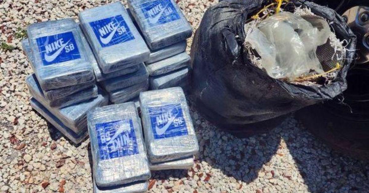 Divers in Florida Find 25 Packages of Cocaine While Cleaning Up Trash