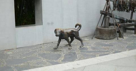 Animal Rescue Team Rush to Save Stricken Dog, Discover Statue Instead