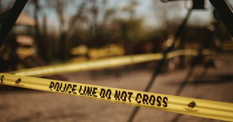 california man stabs and kills woman and her dog