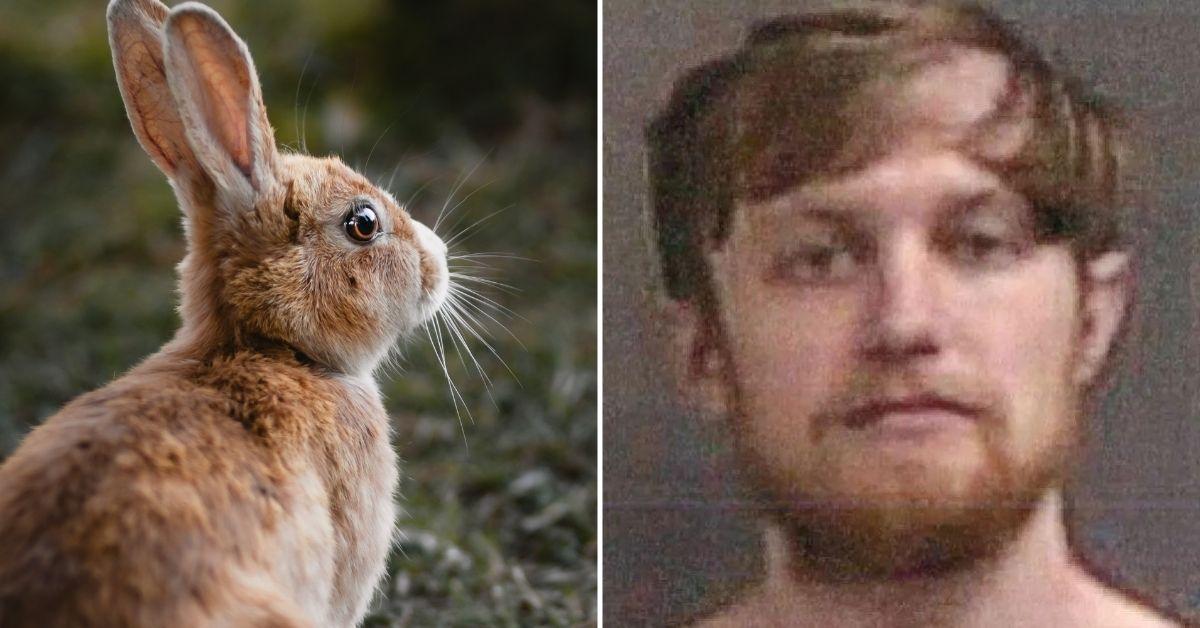 Indiana Man Accused of Killing Girlfriend's Rabbit, Threatening Her