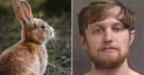 Indiana Man Accused of Killing Girlfriend's Rabbit, Threatening Her