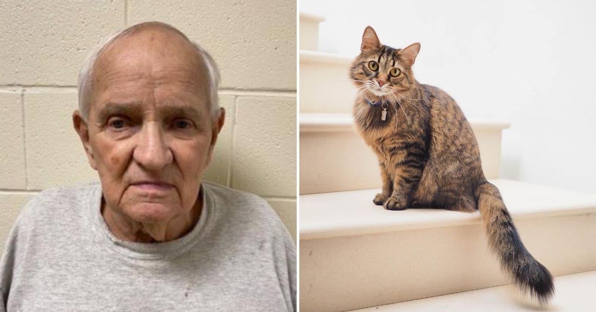 Elderly Couple Allegedly Fought Over Cat's Vet Bill, Wife Killed: Cops