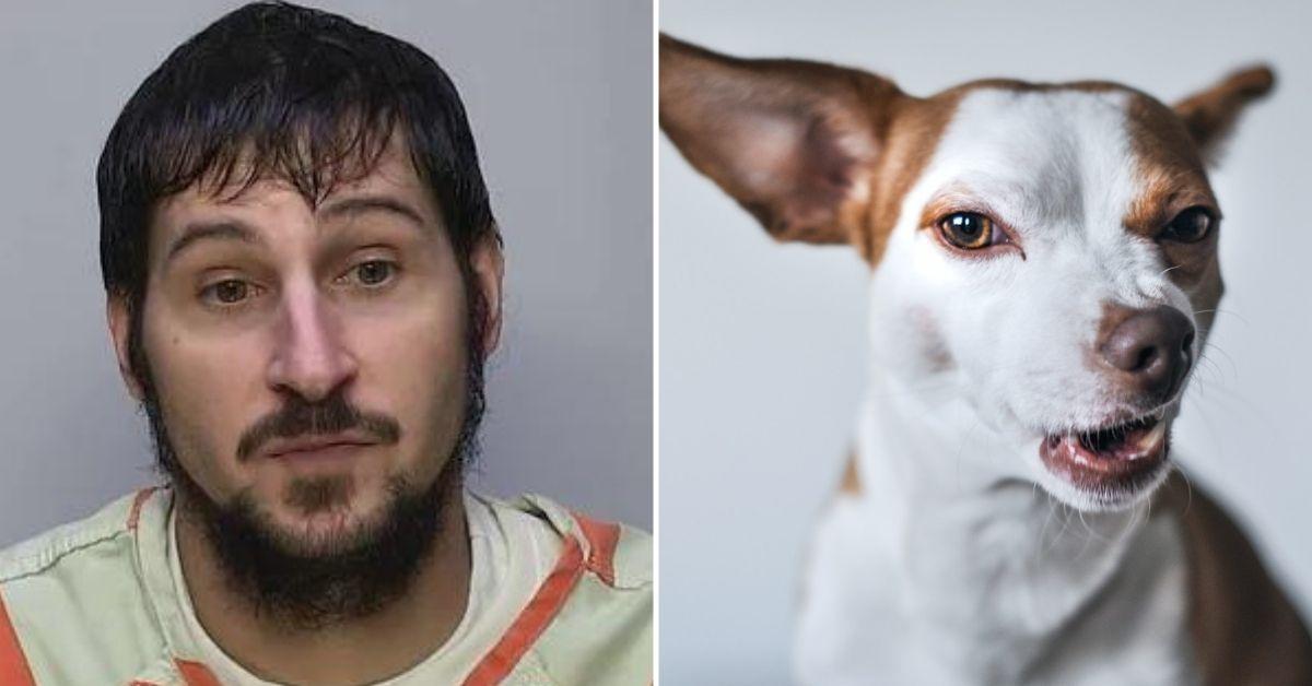 barking dog helps police find escaped michael burham