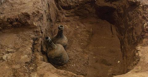 18th Century Cherries Discovered at George Washington's Mount Vernon