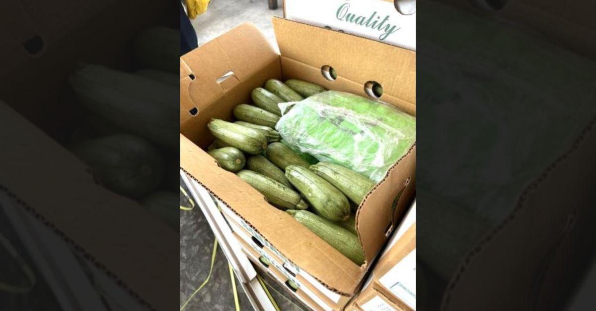 CBP Uncovers 12,000 Pounds of Meth Hidden in Squash Cargo