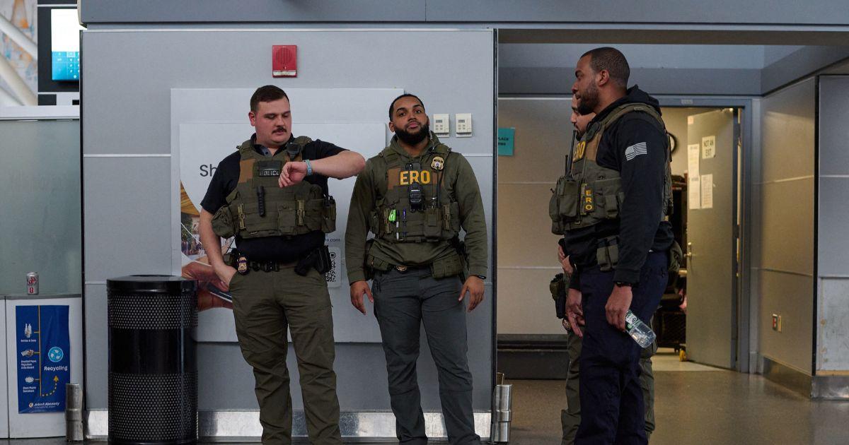 ICE raises alarm on fraud targeting the federal STEM Optional Practical Training extension program 
