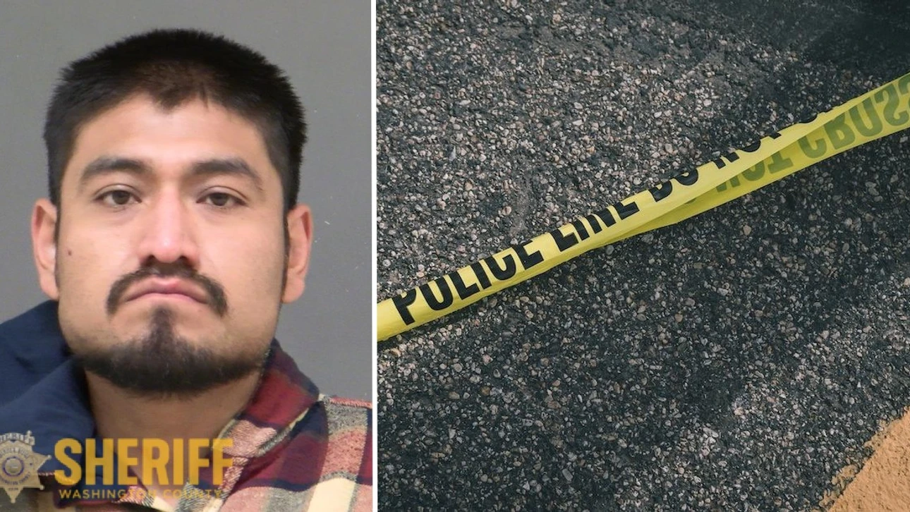 Man charged with murder after domestic violence incident: cops