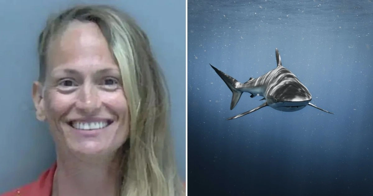 Florida Woman Accused of Leaving Son in Car to Go Swimming with Sharks