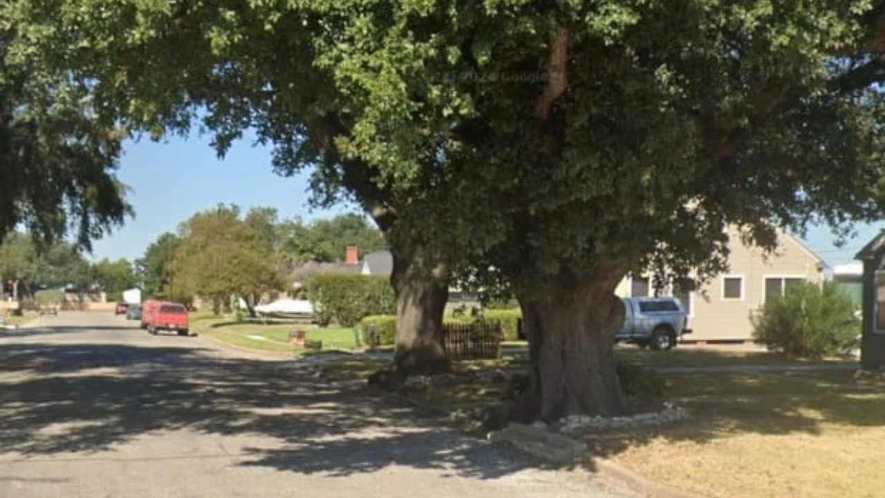 Texas son charged after father stabbed almost 10 times